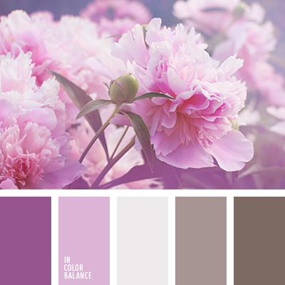 couleur rose-violet | IN COLOR BALANCE