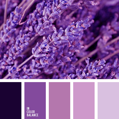 violet foncé et violet clair | IN COLOR BALANCE