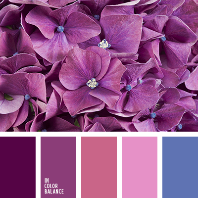 couleur rose-violet | IN COLOR BALANCE