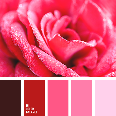 monochrome palette de couleur rose | IN COLOR BALANCE